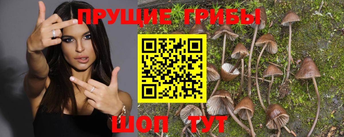 Джанкой  Псилоцибиновые грибы Magic Shrooms  Вход с VPN 